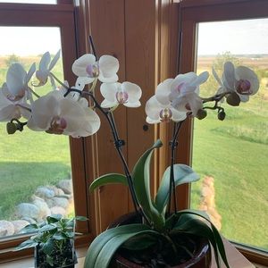 Meet your Posher, YD